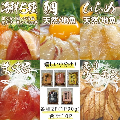 特製出汁醤油で漬け込んだ漬け丼5種セット10食(各90g)