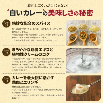 【新感覚の白いカレー!】歯や矯正器具に着色しにくい ホワイティースカレー 180g×6個