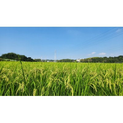 わっぱのお米5kg(低農薬豊こしひかり)