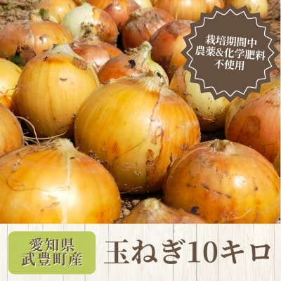 【4月上旬から順次発送】玉ねぎ10kg　栽培期間中化学肥料/農薬不使用