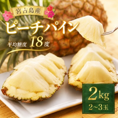 【2027年6月上旬から順次発送】宮古島産ピーチパイン2kg(2～3玉)