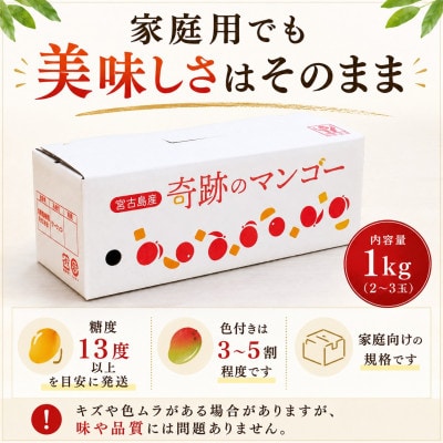 【2027年6月下旬より順次発送・良品】宮古島産 奇跡のマンゴー1kg(2～3玉)