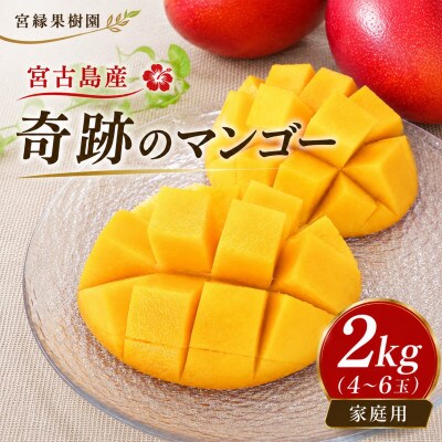 【2027年6月下旬より順次発送・良品】宮古島産 奇跡のマンゴー2kg(4～6玉)