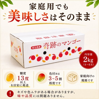 【2027年6月下旬より順次発送・良品】宮古島産 奇跡のマンゴー2kg(4～6玉)