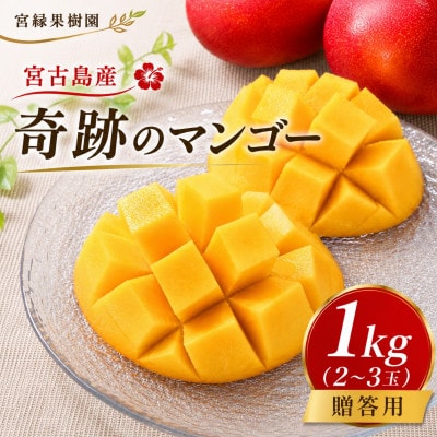 【2027年6月下旬より順次発送・優品】宮古島産 奇跡のマンゴー1kg(2～3玉)