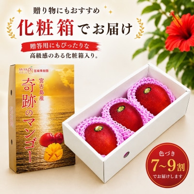 【2027年6月下旬より順次発送・優品】宮古島産 奇跡のマンゴー1kg(2～3玉)
