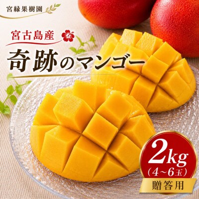 【2027年6月下旬より順次発送・優品】宮古島産 奇跡のマンゴー2kg(4～6玉)