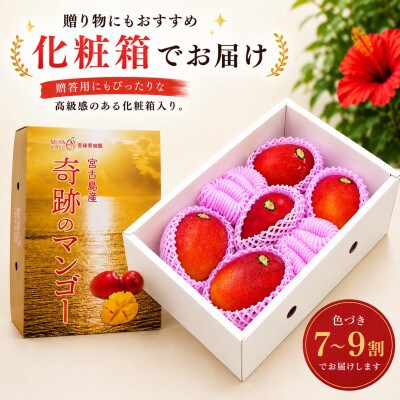 【2027年6月下旬より順次発送・優品】宮古島産 奇跡のマンゴー2kg(4～6玉)