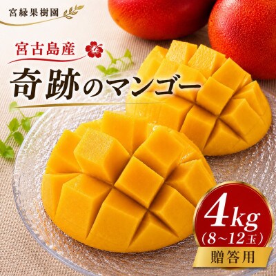 【2027年6月下旬より順次発送・優品】宮古島産 奇跡のマンゴー4kg(8～12玉)