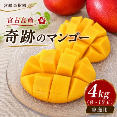 【2027年6月下旬より順次発送・良品】宮古島産 奇跡のマンゴー4kg(8～12玉)