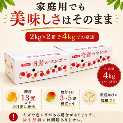 【2027年6月下旬より順次発送・良品】宮古島産 奇跡のマンゴー4kg(8～12玉)