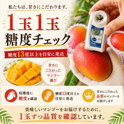 【2027年6月下旬より順次発送・良品】宮古島産 奇跡のマンゴー4kg(8～12玉)