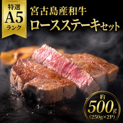 特選A5ランク 宮古島産和牛 ロースステーキセット 約500g(250g×2P)