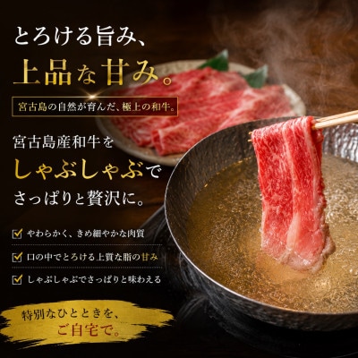 宮古島産和牛 贅沢しゃぶしゃぶ&すき焼きセット 約500g(モモ250g・ロース250g)