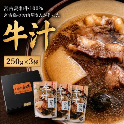 宮古島和牛100% 宮古島のお肉屋さんが作った牛汁250g×3袋
