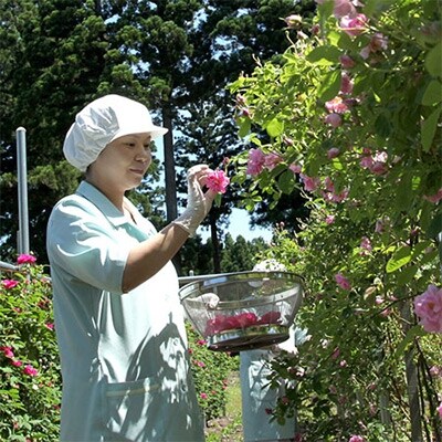 「【秋田発】香る薔薇物語セット」　ローズメイ