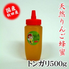 でんのうさん家 天然りんごはちみつ500g