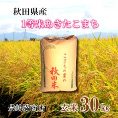 令和3年産「秋田県産1等米あきたこまち　玄米30kg」豊嶋満商店