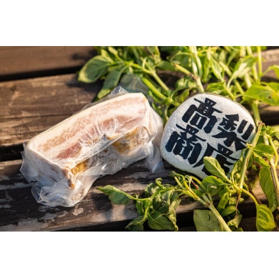 高梨商店の大満足セット(カレー180×2・チョリソー350×2・ベーコン200×2・ハーブソルト1)