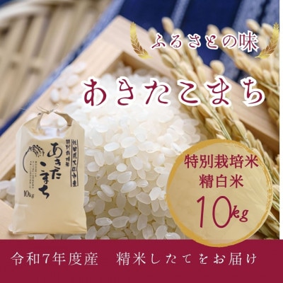 【11月中旬より出荷予定】令和7年度産　お届け前に精米　特別栽培米「あきたこまち」精白米10kg