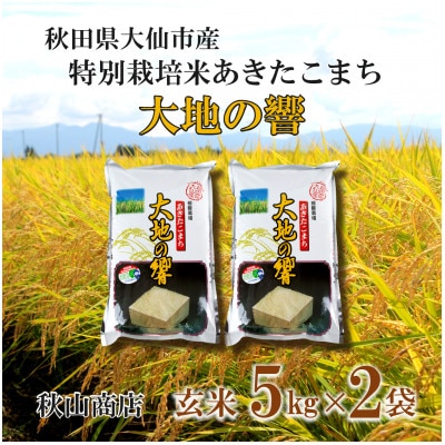 令和4年 秋田県産 新米 あきたこまち 玄米30kg 特別栽培米 有機米