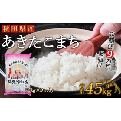 【毎月定期便】秋田県産あきたこまち(5kg)全9回