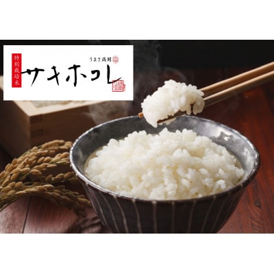 特別栽培米・秋田県産サキホコレ | お米の通販 片山米店