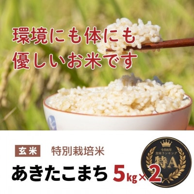 令和7年産「特別栽培米あきたこまち」玄米5kg×2袋(計10kg) おこめのさわた 秋田県産