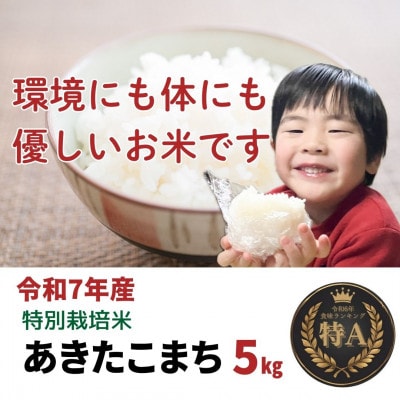 令和7年産「特別栽培米あきたこまち」精米5kg おこめのさわた 秋田県産