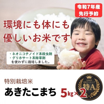 令和7年産「特別栽培米あきたこまち」精米5kg×2袋(計10kg) おこめのさわた 秋田県産