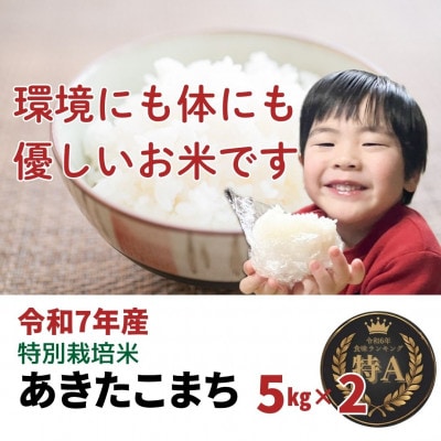 令和7年産「特別栽培米あきたこまち」精米5kg×2袋(計10kg) おこめのさわた 秋田県産