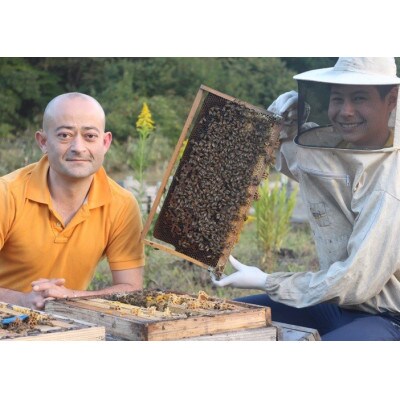【秋田県大仙市産】国産純粋はちみつ　『アカシアの花』　360g×1