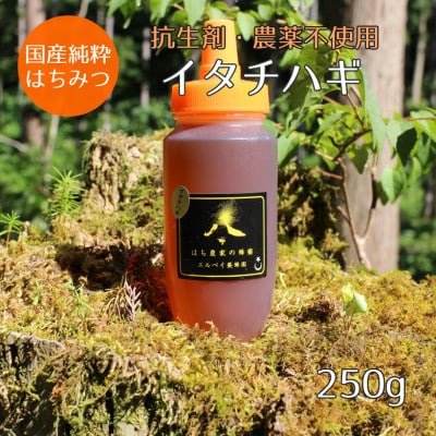 【秋田県大仙市産】国産純粋はちみつ　『イタチハギの花』　250g×1