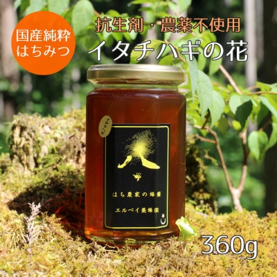 【秋田県大仙市産】国産純粋はちみつ　『イタチハギの花』　360g×1