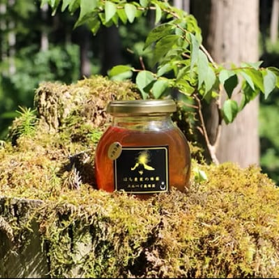 【秋田県大仙市産】国産純粋はちみつ 『春の花々』200g×1