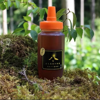 【秋田県大仙市産】国産純粋はちみつ 『春の花々』250g×1(ご家庭用)