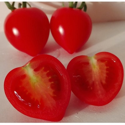 恋ベリー 100%トマトジュース(濃縮)150g×20パック入