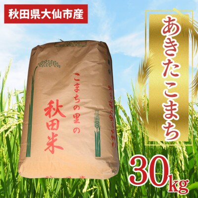 【令和5年産】秋田県産あきたこまち　精米30kg×1袋　