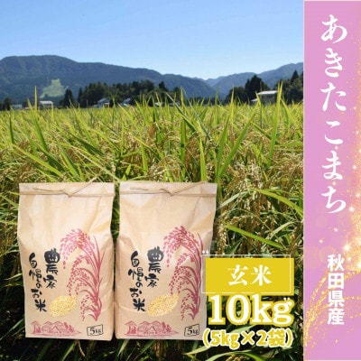令和6年産】 あきたこまち 玄米20kg(5kg×4袋) 秋田県大仙市産
