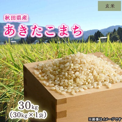 令和6年産　秋田県産あきたこまち　玄米30kg×1袋