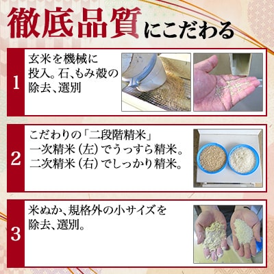 【令和7年産】5kg(5kg×1袋)大手有名百貨店出荷米 あきたこまち