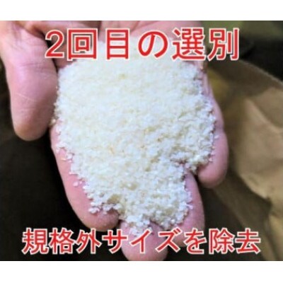 【毎月定期便】全7回 10kg(5kg×2袋) 大手有名百貨店出荷米　あきたこまち全7回