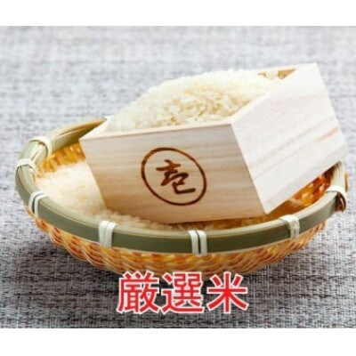 【毎月定期便】全7回 10kg(5kg×2袋) 大手有名百貨店出荷米　あきたこまち全7回