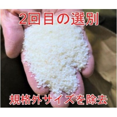 【毎月定期便】全9回 25kg(5kg×5袋) 大手有名百貨店出荷米　あきたこまち全9回