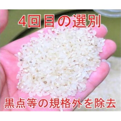【毎月定期便】全9回 25kg(5kg×5袋) 大手有名百貨店出荷米　あきたこまち全9回