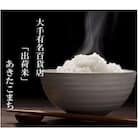 【毎月定期便】【令和7年産】5kg(5kg×1袋)大手有名百貨店出荷米 あきたこまち全11回