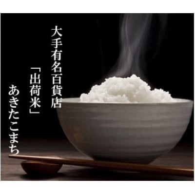 【毎月定期便】【令和7年産】10kg(5kg×2袋)大手有名百貨店出荷米 あきたこまち全11回