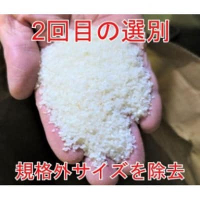 【毎月定期便】【令和7年産】5kg(5kg×1袋)大手有名百貨店出荷米 あきたこまち全8回