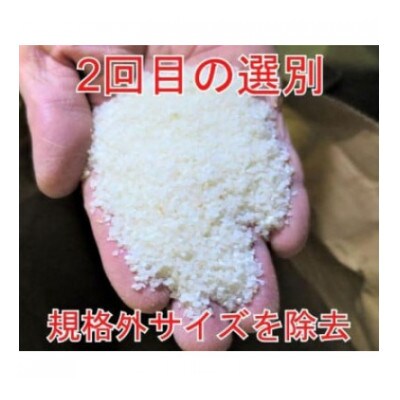 【毎月定期便】【令和7年産】20kg(5kg×4袋)大手有名百貨店出荷米　あきたこまち全9回