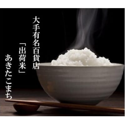【毎月定期便】【令和7年産】20kg(5kg×4袋)大手有名百貨店出荷米　あきたこまち全11回